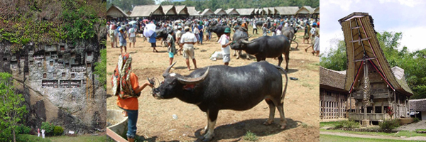 Tana Toraja south Sulawesi Indonesia