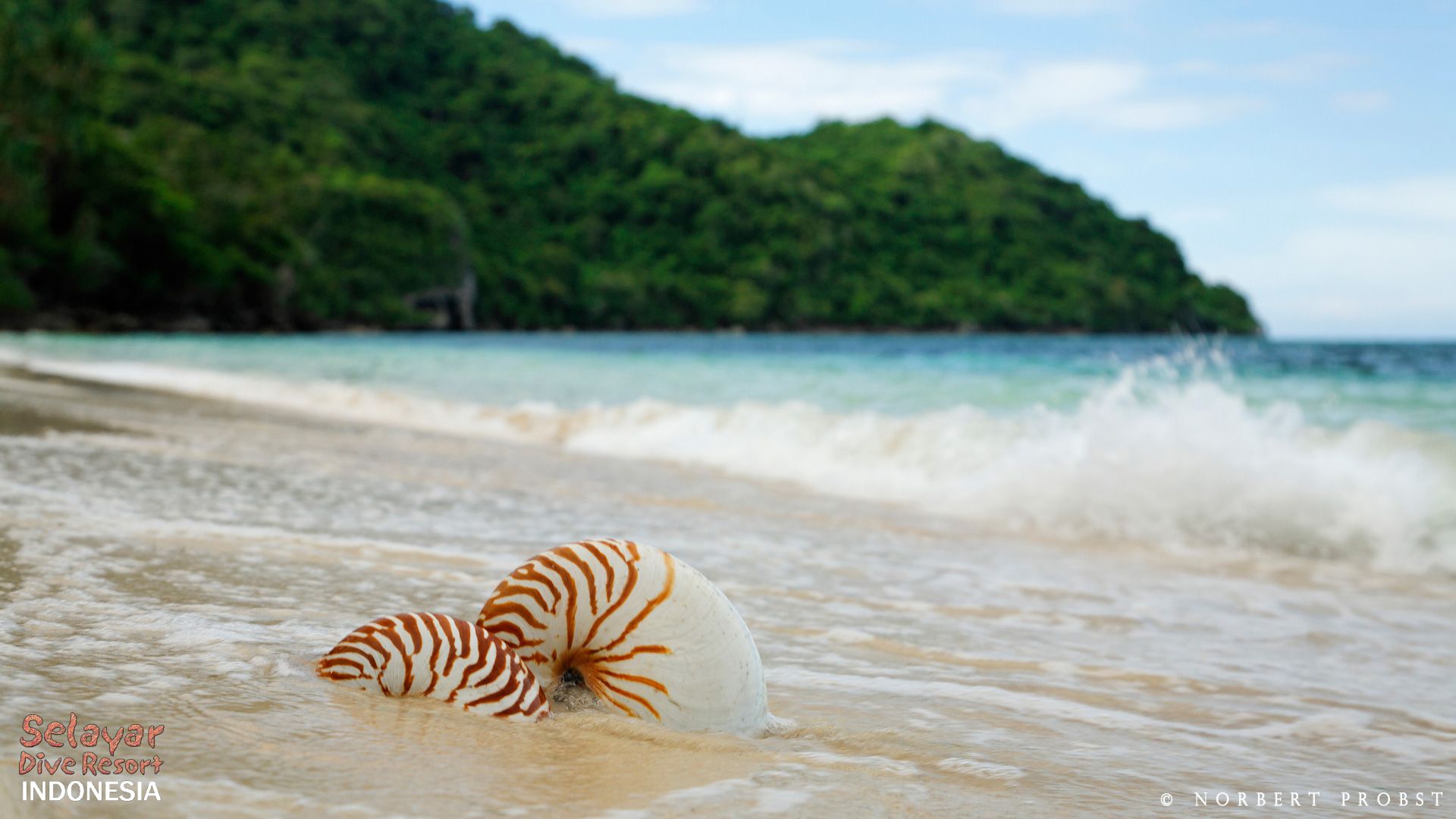 Beach south Sulawesi Indonesia