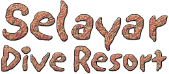 Selayar Dive Resort (EN) Logo