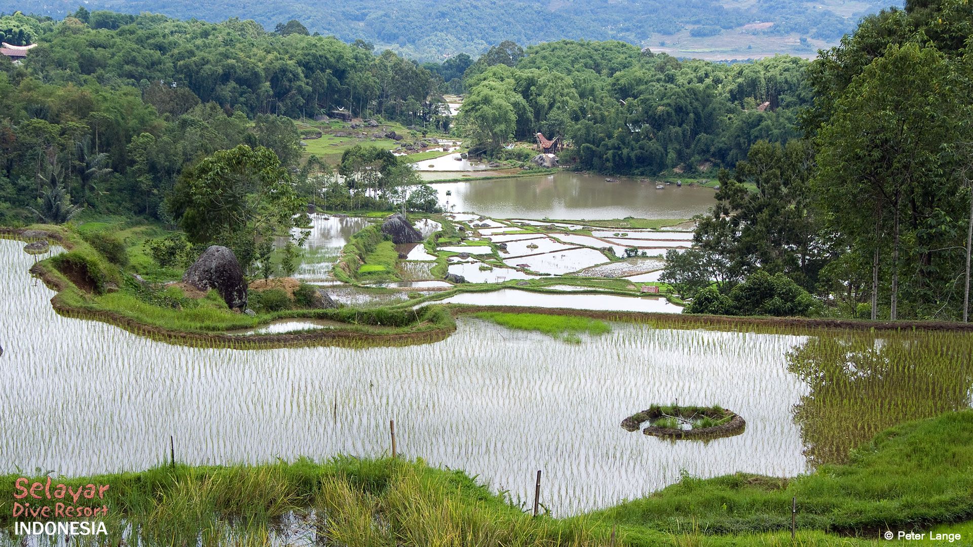 Tana Toraja Tour South Sulawesi Indonesia
