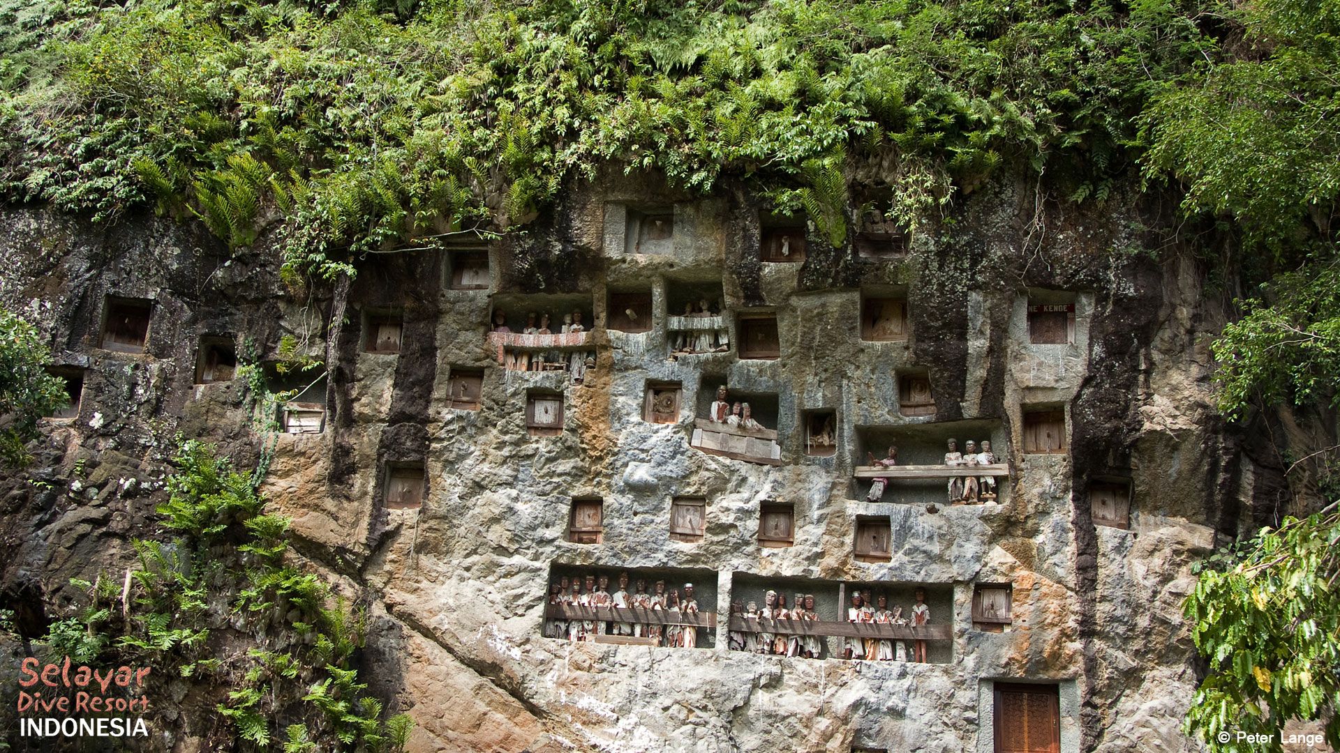 Indonesia Tana Toraja Sulawesi