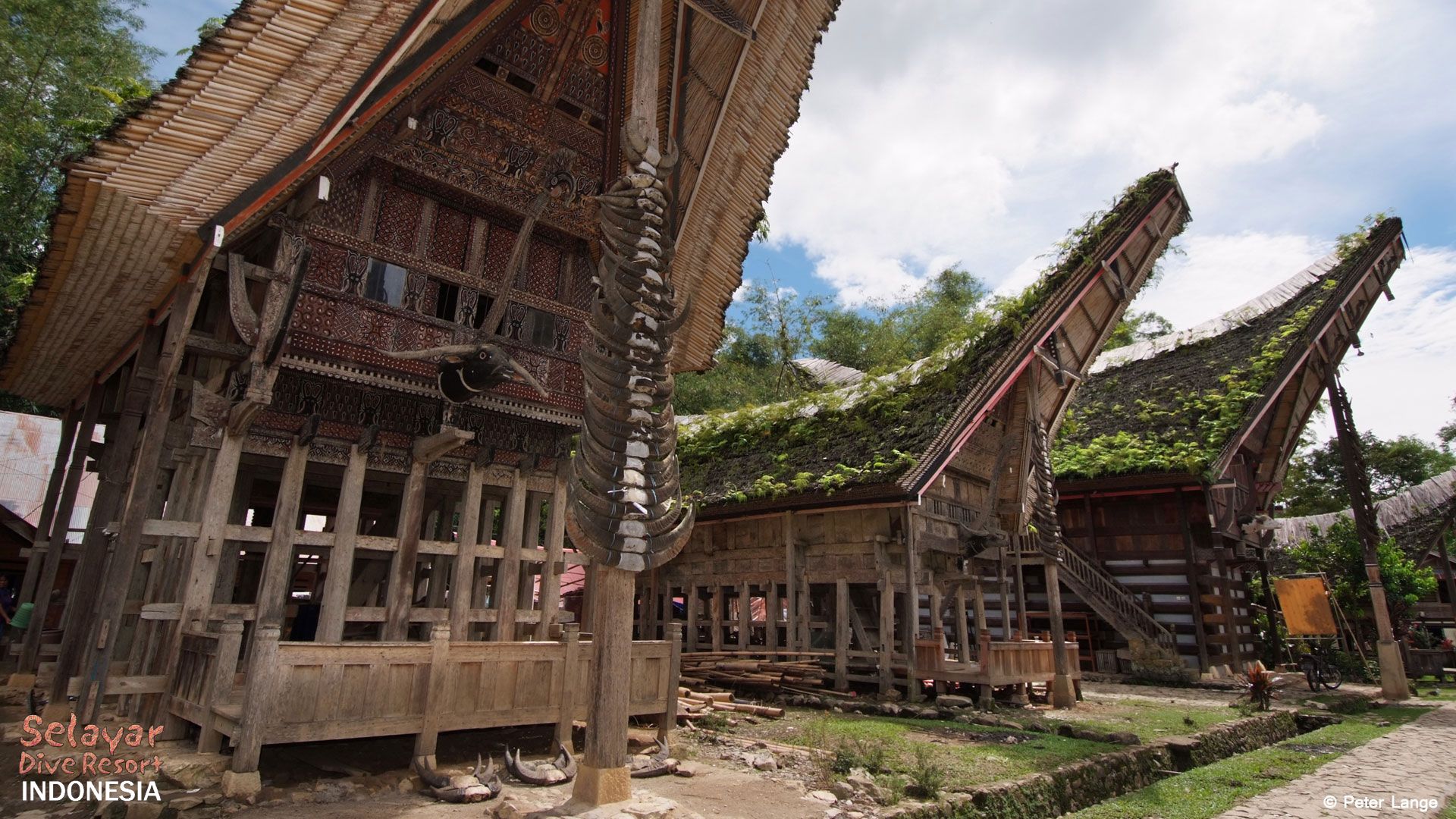 Tana Toraja Tour South Sulawesi Indonesia